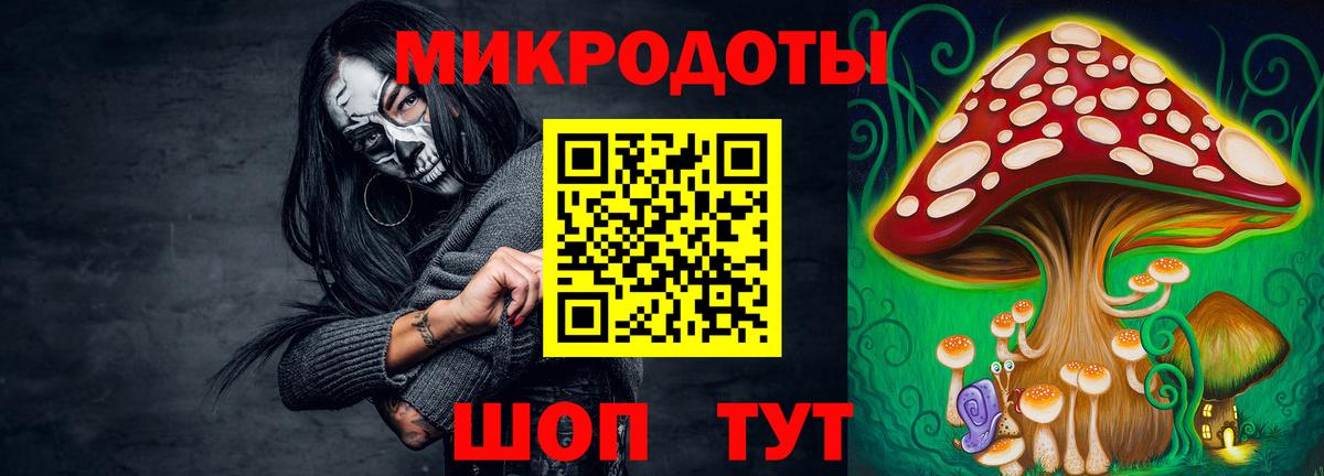 Галлюциногенные грибы Psilocybine cubensis  Галлюциногенные грибы мицелий  Звенигород  Вход с VPN 