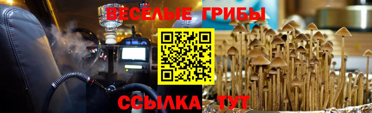 ЭКСТАЗИ  Звенигород  Бошки Шишки  Вход с VPN  NBOMe  Меф МЯУ МЯУ   Гашиш 